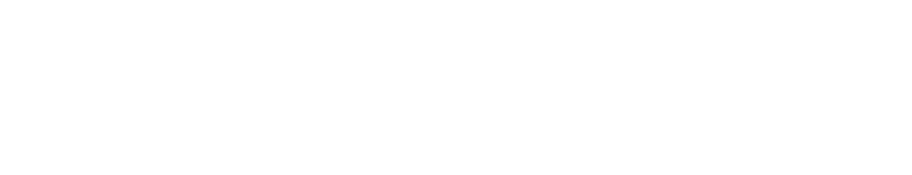 White Flyer logo with white text and target